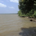 The Mazon River
