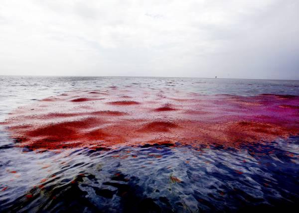 Foto: Alex Brandon/Scanpix