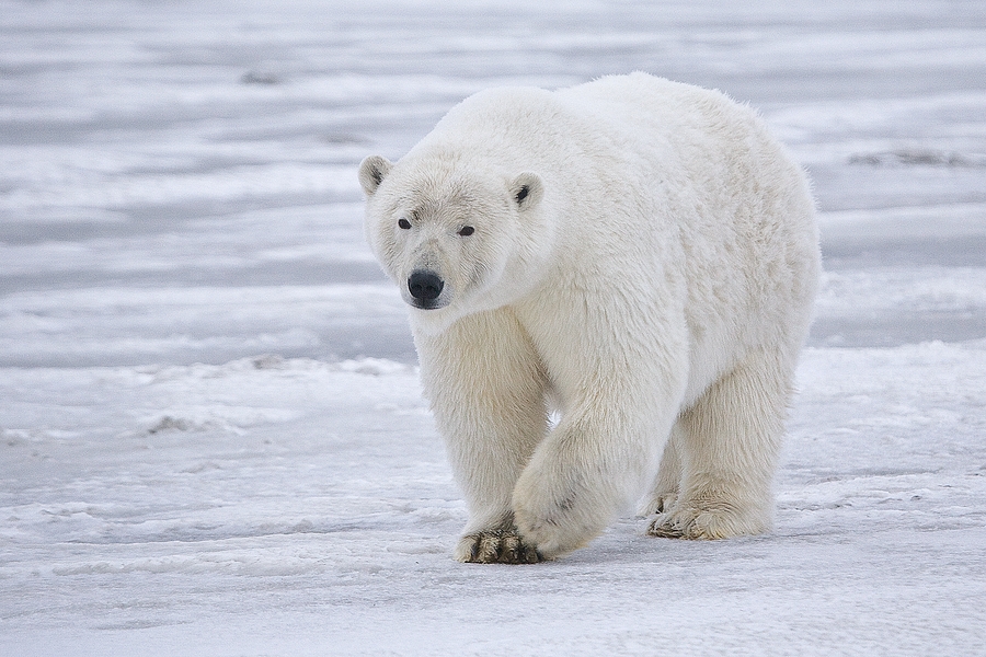 Vi rammes av klimaendringer med full tyngde